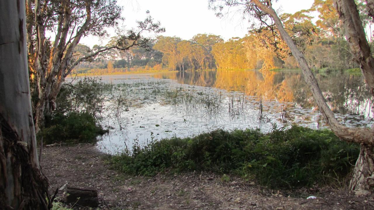 Lake Russell Retreat Emerald Beach Εξωτερικό φωτογραφία